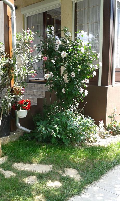 זלקרוס Holiday Apartmanhaz מראה חיצוני תמונה